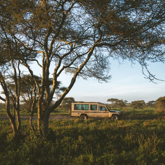 Luxury African Safari